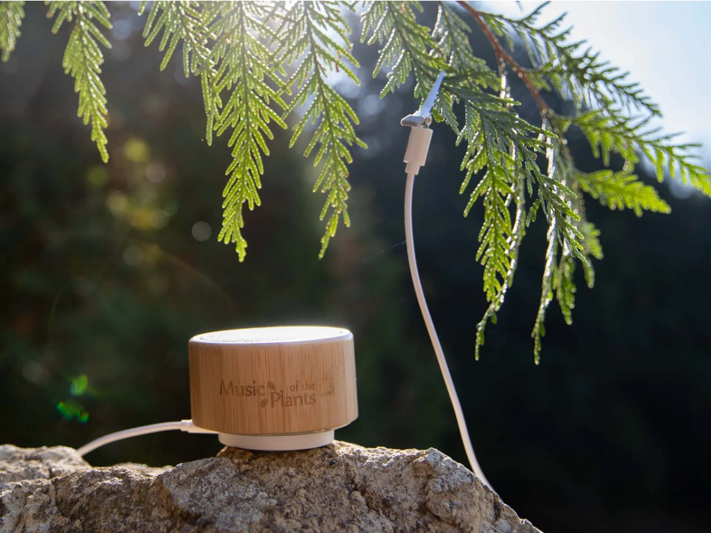 Music of the Plants<BR>GINKGO 植物音樂儀 . 強大且簡單<BR> ( 有現貨 ) - newearthstore