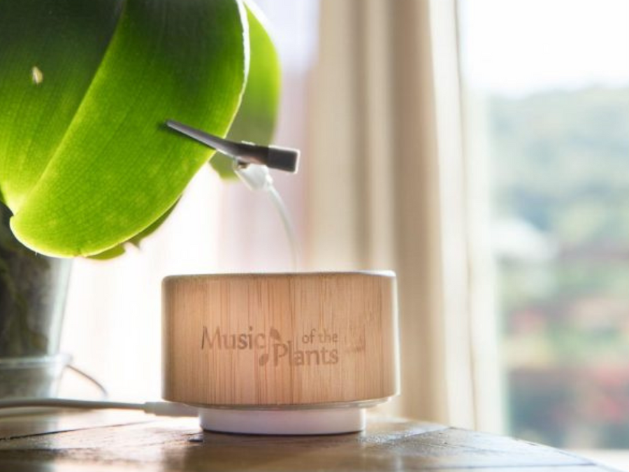 Music of the Plants<BR>GINKGO 植物音樂儀 . 強大且簡單<BR> ( 有現貨 ) - newearthstore