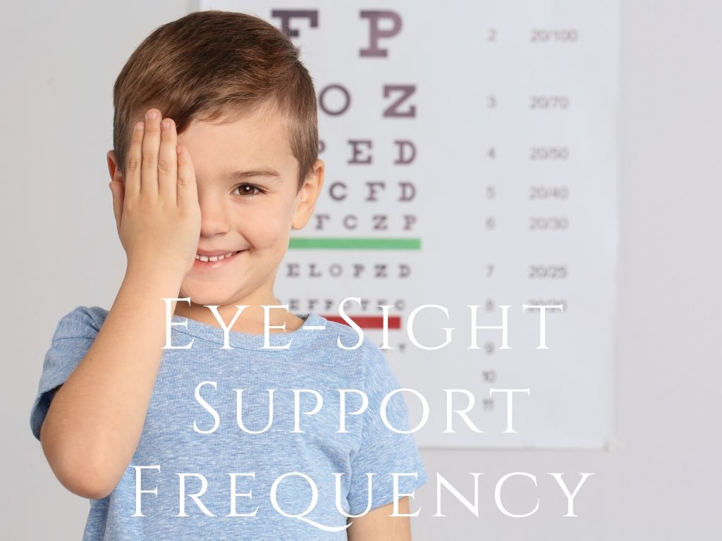 Frequency - Eye Sight Support Program <BR> 視力支援支援 - newearthstore