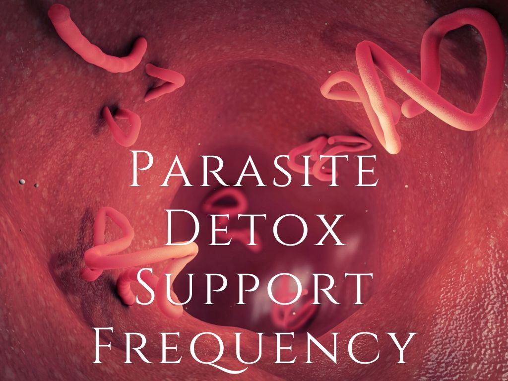 Frequency - Parasite Cleanse Program <BR> 寄生蟲清洗頻率程式 - newearthstore
