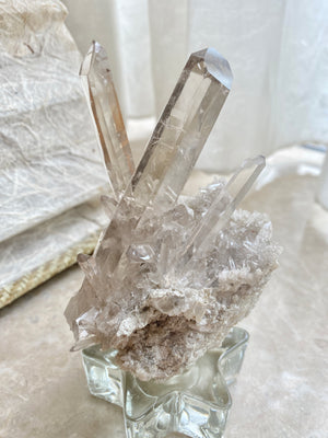 GemGem Crystal NEG Exclusive - Himalayan Smoky Quartz Cluster<BR> 喜瑪拉雅茶水晶晶簇 - newearthstore