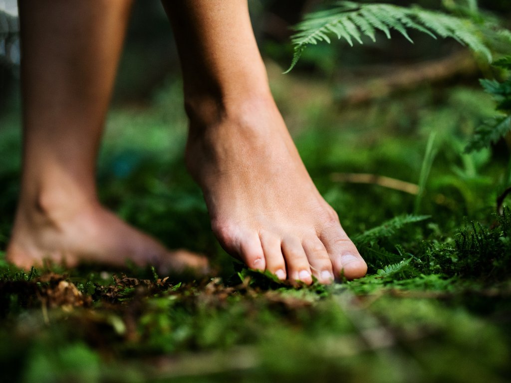 Grounding 接地氣產品