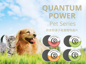 Quantum Power PETS TACHYON CHIPS <BR> 寵物超光速次原子粒子保護晶片系列 ( 獨立 )