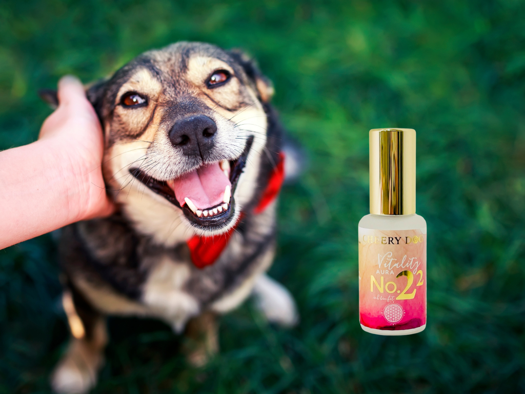 Cheery Dog 快樂毛孩