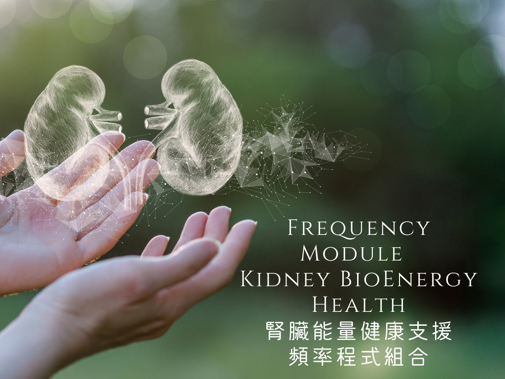 **全新推出 NEW ** Frequency Module - Kidney BioEnergy Health <BR> 腎臟能量健康支援頻率程式組合