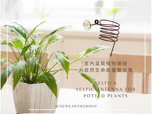 Selfica - Selfic Antenna for Potted Plants <BR> 室內盆栽植物連接大自然生命能量整合儀<BR> ( Pre Order 接受預購 : 截數日為每個月的 15 號 ) ( *因全人手製作，預購時間最少 4-5 個月 )