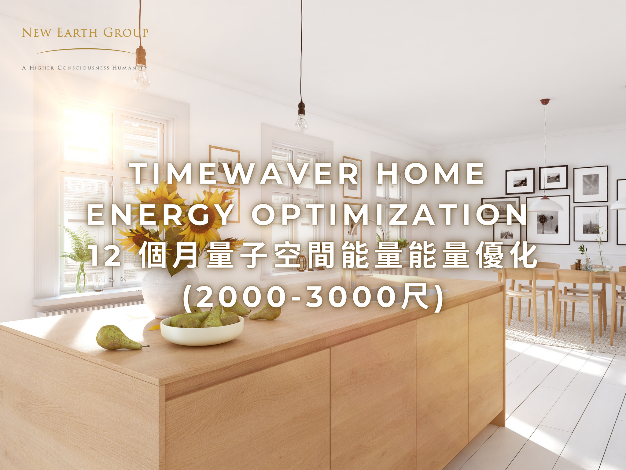 TimeWaver Home Energy Optimization 12 個月量子空間能量能量優化 (2000-3000尺) - newearthstore