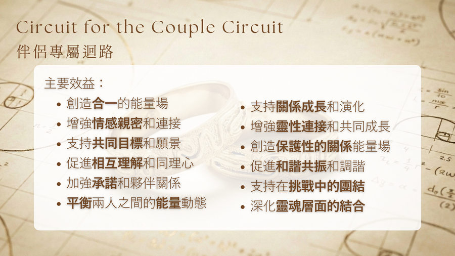 Selfic Circuit Synchronicity Jewelry Collection <BR>和諧情侶夫妻戒指 <BR> COUPLE SELFIC RINGS (wedding rings)( Pre-Order 接受預購 ) ( 因全人手製作，預購時間最少 2-3 個月 ) - newearthstore