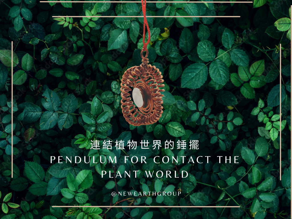 Selfica - Pendulum for Contact the Plant World  <BR> 連結植物世界的錘擺 <BR> （ 有現貨 ) - newearthstore