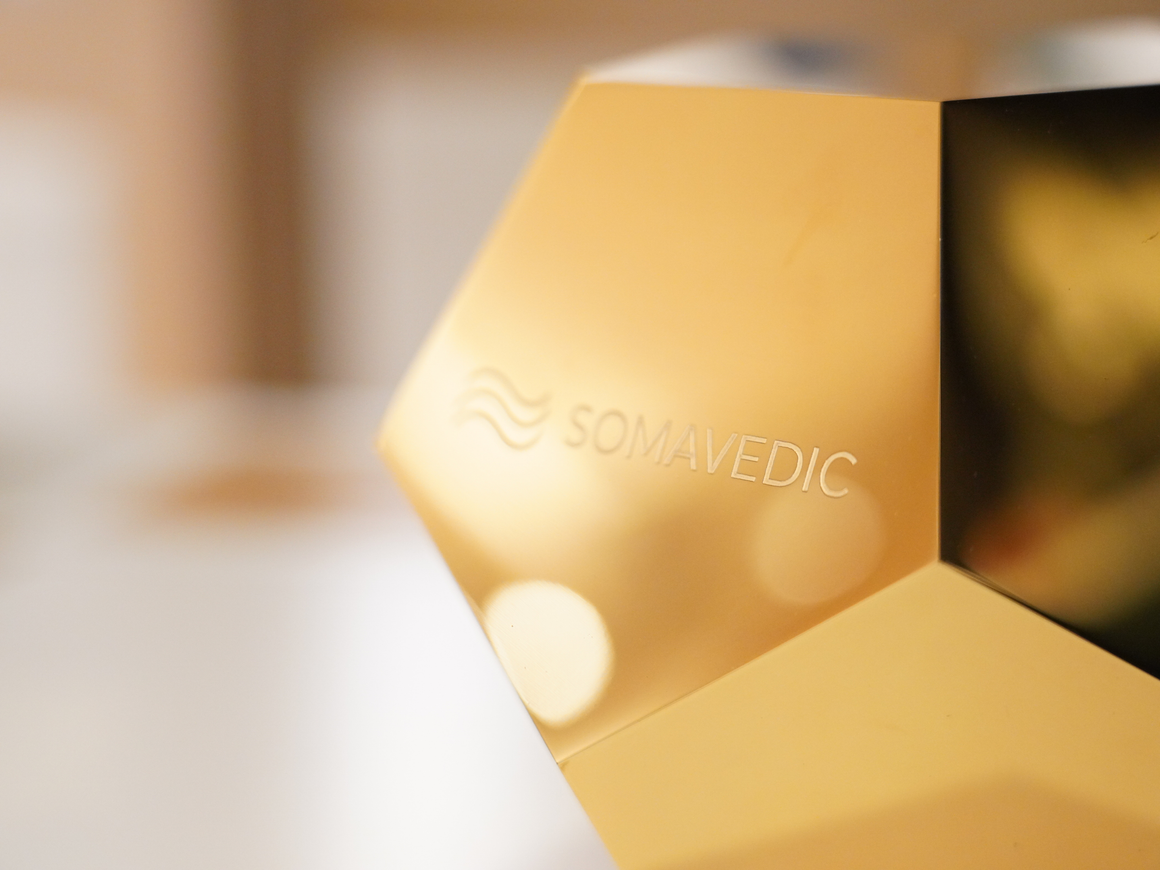 Somavedic Dodekaedr for BIZ <BR> 頂級客製化意識揚升願景顯化型號平衡儀 <BR>  生意商業支援版本 <BR> (PreOrder 接受預購) - newearthstore