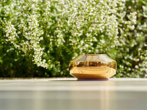 Somavedic GOLD for BIZ <BR> 意識能量願景和諧平衡儀 <BR>  生意商業支援版本 <BR> (PreOrder 接受預購) <BR> - newearthstore