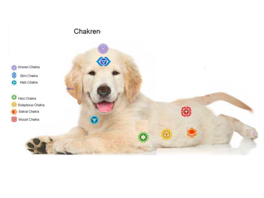 Cheery Dog 寵物訊息精華噴霧<BR>脈輪系列 No. 2  生殖脈輪 30mL<BR>( 有現貨 ) - newearthstore