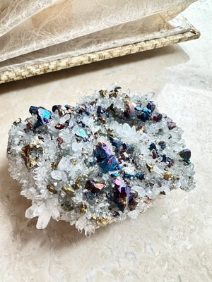 [1113 New Pending] GemGem Crystal NEG Exclusive - Blossom Bornite With Crystal Quartz Cluster <BR> 彩色彩銅礦共生水晶花晶簇 - newearthstore