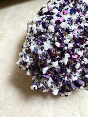 [1113 New Pending] GemGem Crystal NEG Exclusive - Purple Bornite With Calcite Crystal Cluster <BR> 紫色彩銅礦共生白色方解石晶簇 - newearthstore