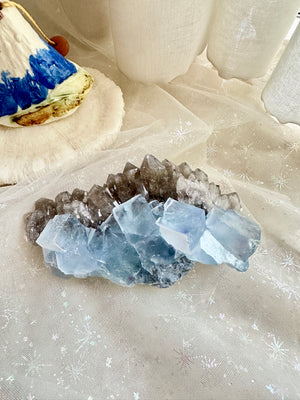 GemGem Crystal NEG Exclusive - Blue Fluorite Cubes With Smoky Quartz Cluster  <BR>砂糖立方體藍螢石共生茶晶簇 355grams - newearthstore