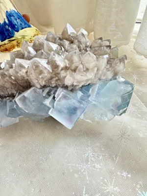 GemGem Crystal NEG Exclusive - Blue Fluorite Cubes With Smoky Quartz Cluster  <BR>砂糖立方體藍螢石共生茶晶簇 355grams - newearthstore