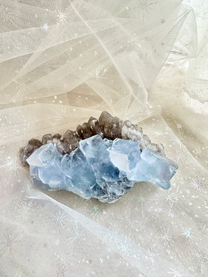 GemGem Crystal NEG Exclusive - Blue Fluorite Cubes With Smoky Quartz Cluster  <BR>砂糖立方體藍螢石共生茶晶簇 355grams - newearthstore