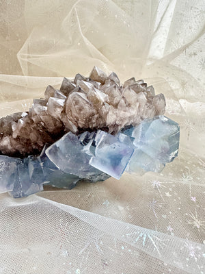 GemGem Crystal NEG Exclusive - Blue Fluorite Cubes With Smoky Quartz Cluster  <BR>砂糖立方體藍螢石共生茶晶簇 355grams - newearthstore