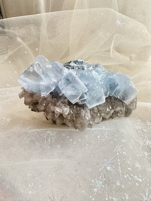 GemGem Crystal NEG Exclusive - Blue Fluorite Cubes With Smoky Quartz Cluster  <BR>砂糖立方體藍螢石共生茶晶簇 355grams - newearthstore