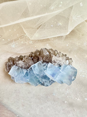 GemGem Crystal NEG Exclusive - Blue Fluorite Cubes With Smoky Quartz Cluster  <BR>砂糖立方體藍螢石共生茶晶簇 355grams - newearthstore