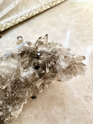 GemGem Crystal NEG Exclusive - Smoky Quartz Cluster   <BR>高品極透體茶晶水晶簇 200grams - newearthstore