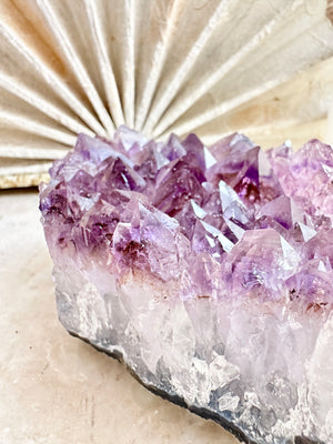 GemGem Crystal NEG Exclusive - Rutilated Amethyst Quartz Cluster <BR>稀有透體紫鈦晶水晶簇 571grams - newearthstore