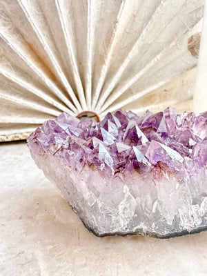 GemGem Crystal NEG Exclusive - Rutilated Amethyst Quartz Cluster <BR>稀有透體紫鈦晶水晶簇 571grams - newearthstore