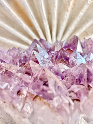 GemGem Crystal NEG Exclusive - Rutilated Amethyst Quartz Cluster <BR>稀有透體紫鈦晶水晶簇 571grams - newearthstore