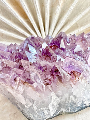 GemGem Crystal NEG Exclusive - Rutilated Amethyst Quartz Cluster <BR>稀有透體紫鈦晶水晶簇 571grams - newearthstore