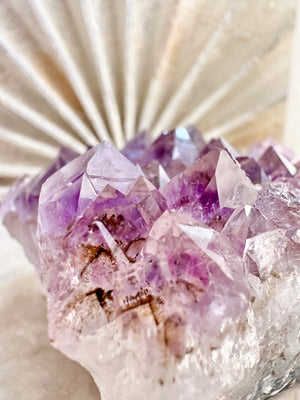 GemGem Crystal NEG Exclusive - Rutilated Amethyst Quartz Cluster <BR>稀有透體紫鈦晶水晶簇 571grams - newearthstore