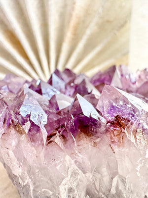 GemGem Crystal NEG Exclusive - Rutilated Amethyst Quartz Cluster <BR>稀有透體紫鈦晶水晶簇 571grams - newearthstore