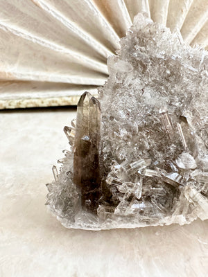 GemGem Crystal NEG Exclusive - Smoky Quartz Cluster   <BR>高品極透體茶晶水晶簇 200grams - newearthstore