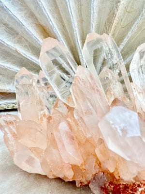 GemGem Crystal NEG Exclusive - Clear Pink Quartz Cluster <BR>極透體粉紅水晶簇 459grams - newearthstore