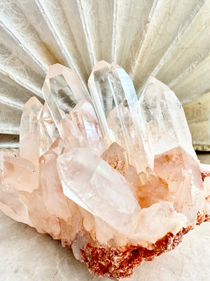 GemGem Crystal NEG Exclusive - Clear Pink Quartz Cluster <BR>極透體粉紅水晶簇 459grams - newearthstore