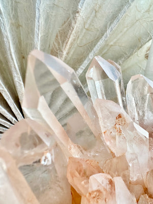 GemGem Crystal NEG Exclusive - Clear Pink Quartz Cluster <BR>極透體粉紅水晶簇 459grams - newearthstore