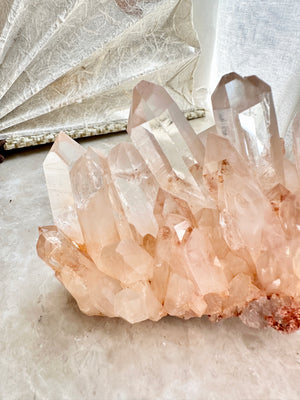 GemGem Crystal NEG Exclusive - Clear Pink Quartz Cluster <BR>極透體粉紅水晶簇 459grams - newearthstore