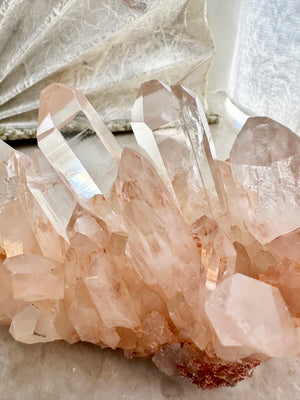 GemGem Crystal NEG Exclusive - Clear Pink Quartz Cluster <BR>極透體粉紅水晶簇 459grams - newearthstore