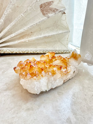 GemGem Crystal NEG Exclusive - High Quality Citrine Cluster <BR>極濃色黃水晶晶簇 210grams - newearthstore