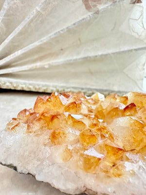 GemGem Crystal NEG Exclusive - High Quality Citrine Cluster <BR>極濃色黃水晶晶簇 210grams - newearthstore