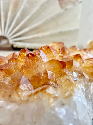 GemGem Crystal NEG Exclusive - High Quality Citrine Cluster <BR>極濃色黃水晶晶簇 210grams - newearthstore