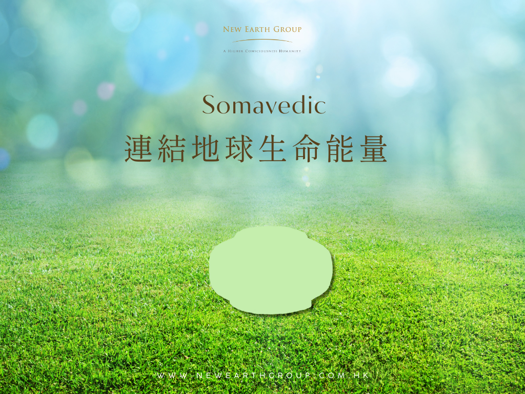 Somavedic HK Special Edition  室內空間身體和諧平衡儀 ( 新推出輔助型號 3 - BEE ) <BR> ( 有現貨 ) - newearthstore