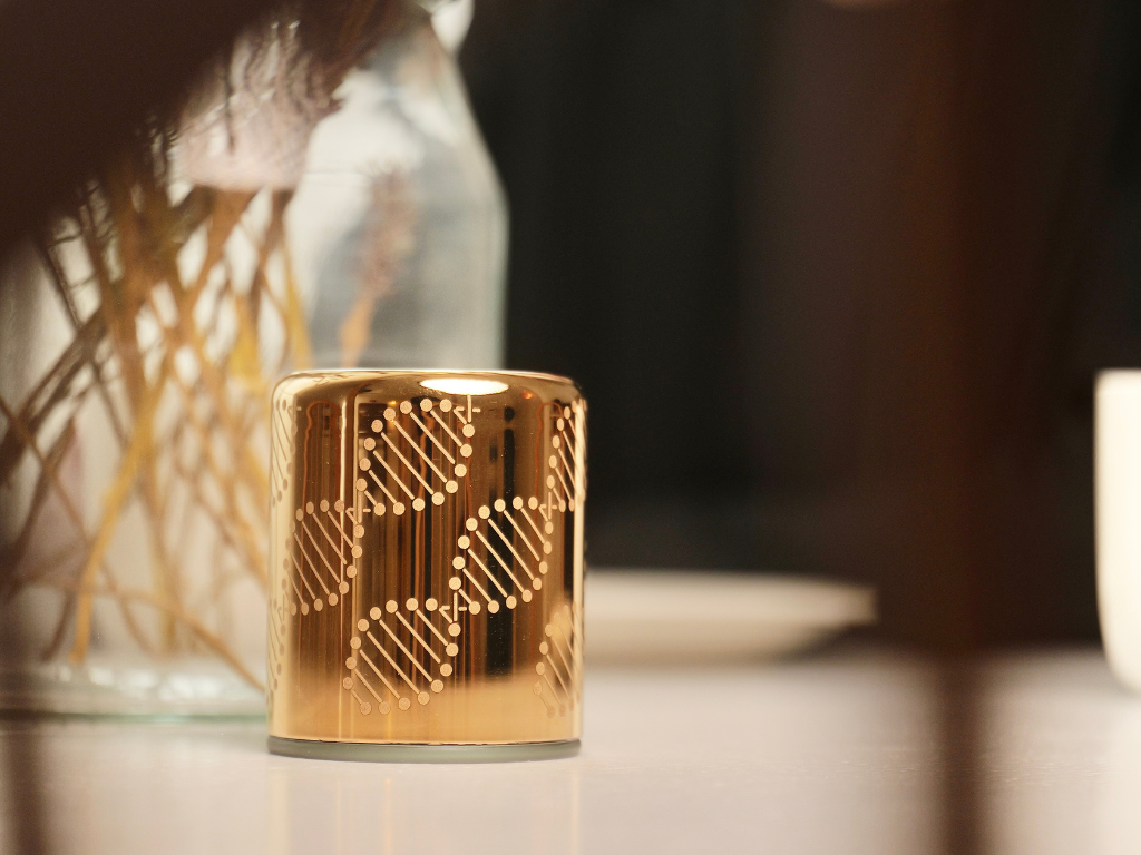 Somavedic ELAURA 電動車 . 身體 . 水的和諧平衡儀 <BR>  (有現貨) - newearthstore