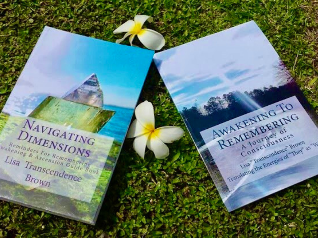 Awakening To Remembering + Navigating Dimensions Book Set - newearthstore