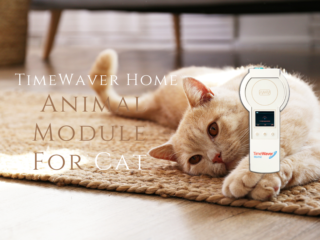 TimeWaver Home Animal Module ONLY (Frequency + Accessories) for Cats <BR> TimeWaver Home 動物版頻率配件組合 (貓貓版本) - newearthstore