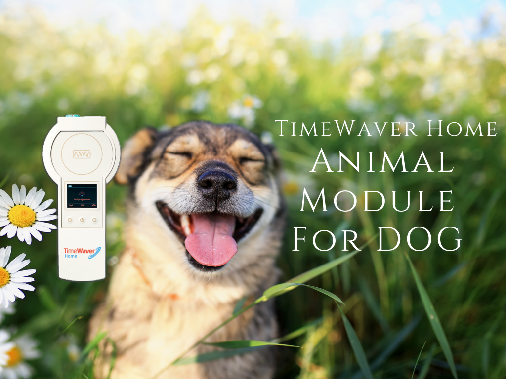 TimeWaver Home Animal Module ONLY (Frequency + Accessories) for Dogs <BR> TimeWaver Home 動物版頻率配件組合 (狗狗版本) - newearthstore