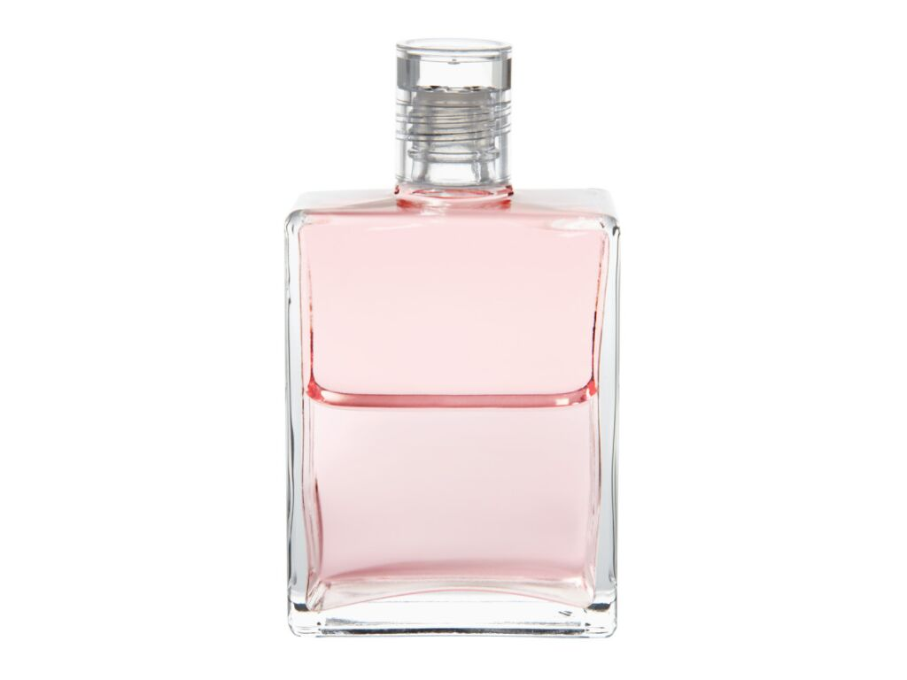 AURA-SOMA LADY NADA & PINK ２本セット(たんぼ) Aura Soma Lady Nada 25ml Quintessence Fragrance : Amazon.sg