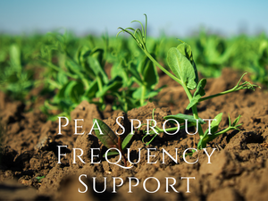 Frequency - Pea Sprout Frequency Program <BR> 豆苗頻率程式 - newearthstore
