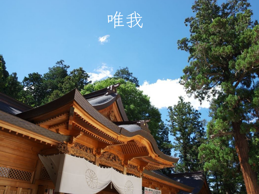 Ray Essence 光精華組合: 立足本源 . 開啟更高的可能性 - newearthstore
