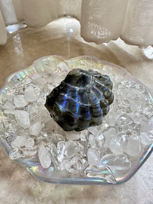 GemGem Crystal NEG Exclusive - Blue Flash Labradorite Shell<BR> 藍光拉長石貝殼晶石 67 grams - newearthstore
