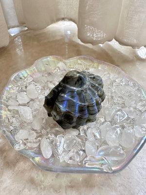 GemGem Crystal NEG Exclusive - Blue Flash Labradorite Shell<BR> 藍光拉長石貝殼晶石 67 grams - newearthstore